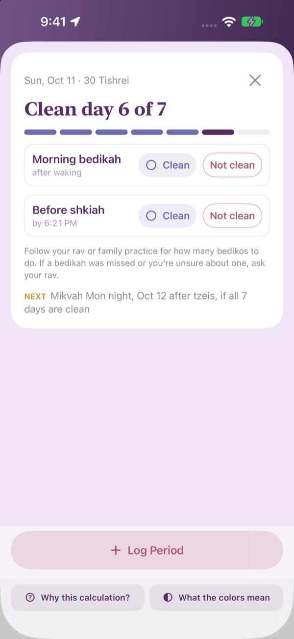 Clean day details with bedikah checkoffs